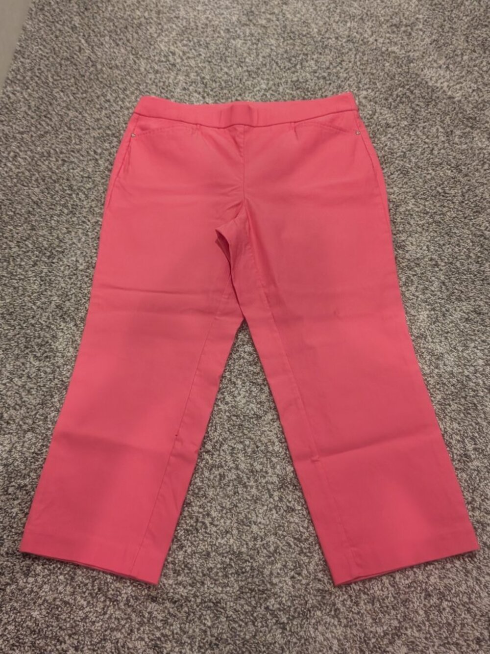 Rafaella Comfort Stretch Pull-On Cropped Capri Pants- Size 10 - Picture 5 of 8
